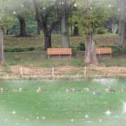 ヒメ日記 2025/08/17 10:37 投稿 ゆいな 大塚 虹いろ回春