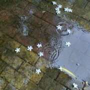 ヒメ日記 2025/07/15 10:03 投稿 まりあ まつど女学園