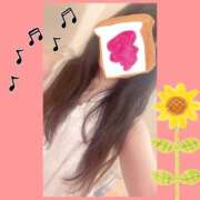 ヒメ日記 2025/07/28 20:02 投稿 いろは あとりえ(ATELIER)