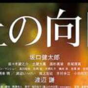ヒメ日記 2025/11/18 17:50 投稿 いろは あとりえ(ATELIER)