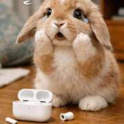 ヒメ日記 2025/12/19 12:31 投稿 いろは あとりえ(ATELIER)