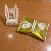 ヒメ日記 2026/02/05 10:32 投稿 いろは あとりえ(ATELIER)