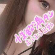 ヒメ日記 2026/08/12 08:44 投稿 みい ちゃんこ大阪十三