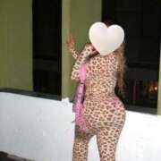 ヒメ日記 2026/02/16 22:40 投稿 らいむ 西船人妻花壇