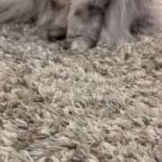 天馬　ゆの こんばんは🌛 やみつきエステ2nd札幌店