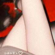 ヒメ日記 2025/10/23 12:25 投稿 ゆう 丸の内