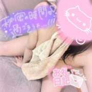 ヒメ日記 2025/07/16 17:28 投稿 ふう 静岡駅前ちゃんこ