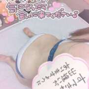 ヒメ日記 2025/07/22 11:48 投稿 ふう 静岡駅前ちゃんこ