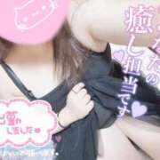 ヒメ日記 2025/08/21 12:08 投稿 ふう 静岡駅前ちゃんこ