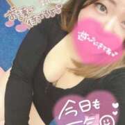 ヒメ日記 2025/11/15 14:07 投稿 ふう 静岡駅前ちゃんこ