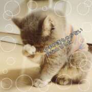 ヒメ日記 2025/07/28 07:18 投稿 月 かすみ(つきかすみ) 五十路マダムエクスプレス厚木店(カサブランカグループ)