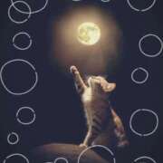 ヒメ日記 2025/08/23 20:54 投稿 月 かすみ(つきかすみ) 五十路マダムエクスプレス厚木店(カサブランカグループ)