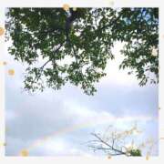 ヒメ日記 2025/08/24 09:04 投稿 月 かすみ(つきかすみ) 五十路マダムエクスプレス厚木店(カサブランカグループ)