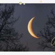 ヒメ日記 2025/08/30 21:52 投稿 月 かすみ(つきかすみ) 五十路マダムエクスプレス厚木店(カサブランカグループ)