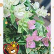 ヒメ日記 2025/09/14 06:42 投稿 月 かすみ(つきかすみ) 五十路マダムエクスプレス厚木店(カサブランカグループ)