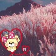 ヒメ日記 2025/09/21 10:22 投稿 月 かすみ(つきかすみ) 五十路マダムエクスプレス厚木店(カサブランカグループ)