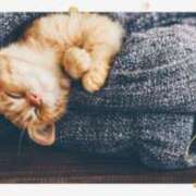 ヒメ日記 2025/09/27 09:50 投稿 月 かすみ(つきかすみ) 五十路マダムエクスプレス厚木店(カサブランカグループ)