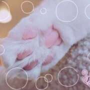 ヒメ日記 2025/10/20 20:32 投稿 月 かすみ(つきかすみ) 五十路マダムエクスプレス厚木店(カサブランカグループ)