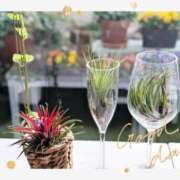 ヒメ日記 2025/11/19 16:42 投稿 月 かすみ(つきかすみ) 五十路マダムエクスプレス厚木店(カサブランカグループ)