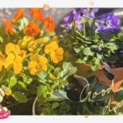 ヒメ日記 2025/11/22 15:16 投稿 月 かすみ(つきかすみ) 五十路マダムエクスプレス厚木店(カサブランカグループ)