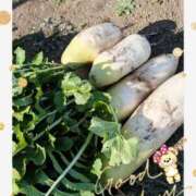 ヒメ日記 2025/12/10 14:20 投稿 月 かすみ(つきかすみ) 五十路マダムエクスプレス厚木店(カサブランカグループ)