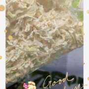 ヒメ日記 2026/01/12 19:06 投稿 月 かすみ(つきかすみ) 五十路マダムエクスプレス厚木店(カサブランカグループ)