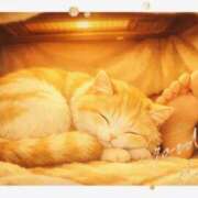 ヒメ日記 2026/01/21 09:26 投稿 月 かすみ(つきかすみ) 五十路マダムエクスプレス厚木店(カサブランカグループ)