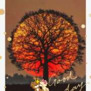 ヒメ日記 2026/02/20 19:18 投稿 月 かすみ(つきかすみ) 五十路マダムエクスプレス厚木店(カサブランカグループ)