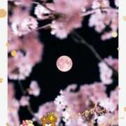 ヒメ日記 2026/03/17 22:20 投稿 月 かすみ(つきかすみ) 五十路マダムエクスプレス厚木店(カサブランカグループ)