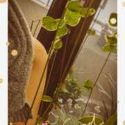 月 かすみ(つきかすみ) 控えめに涼み中 笑 五十路マダムエクスプレス厚木店(カサブランカグループ)