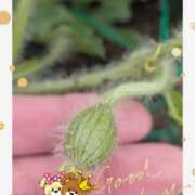 ヒメ日記 2026/06/14 10:58 投稿 月 かすみ(つきかすみ) 五十路マダムエクスプレス厚木店(カサブランカグループ)
