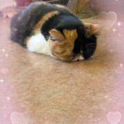 ろみ こんにちは、ろみです🐰☔️ 池袋あられ