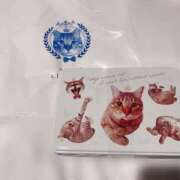 ヒメ日記 2026/03/15 01:16 投稿 みみ 制服これくしょん