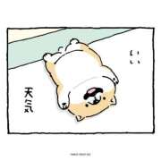 ヒメ日記 2026/07/14 11:18 投稿 みみ 制服これくしょん