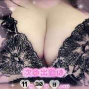 ヒメ日記 2025/11/29 22:29 投稿 舞元 BBW（ビッグビューティフルウーマン）