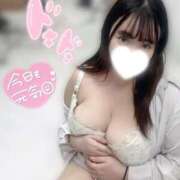 ヒメ日記 2025/12/15 16:49 投稿 舞元 BBW（ビッグビューティフルウーマン）