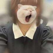 ヒメ日記 2025/09/10 18:50 投稿 るい 手こき＆オナクラ 大阪はまちゃん