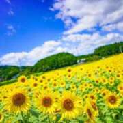 ヒメ日記 2025/07/29 21:19 投稿 さくら 厚木人妻城