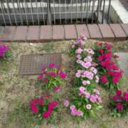 ヒメ日記 2025/10/19 09:07 投稿 ちなつ 妻天 梅田店