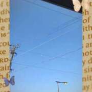 ヒメ日記 2025/10/23 10:27 投稿 ちなつ 妻天 梅田店