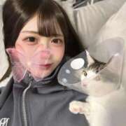 ヒメ日記 2026/01/19 23:32 投稿 えり【プレミアム】 大人のゴシャール