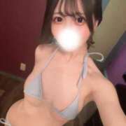 えり【プレミアム】 明日まで 大人のゴシャール