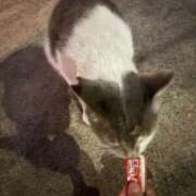 ヒメ日記 2025/08/01 12:05 投稿 かたの ドMな団地妻 名古屋・池下店