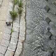 ヒメ日記 2025/10/19 21:25 投稿 かたの ドMな団地妻 名古屋・池下店