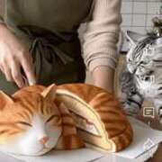 ヒメ日記 2025/11/01 18:25 投稿 かたの ドMな団地妻 名古屋・池下店