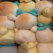 ヒメ日記 2025/12/11 21:05 投稿 かたの ドMな団地妻 名古屋・池下店