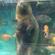 ヒメ日記 2025/10/03 07:01 投稿 まこと ドMバスターズ 京都店