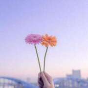 ヒメ日記 2025/11/13 01:03 投稿 月姫/つき ANEJE～アネージュ池袋～(ユメオト)