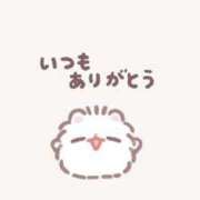 ヒメ日記 2025/08/03 06:11 投稿 みお【現役保育士の専属ご奉仕】 STELLA NEXT－ステラネクスト－