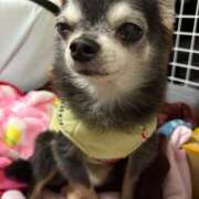 ヒメ日記 2025/11/18 18:48 投稿 なつみ チューリップ土浦店